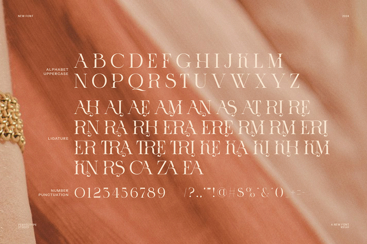 Rifah Elegant Serif Font, a Serif Font by Perfectype (Photo 8 of 8)