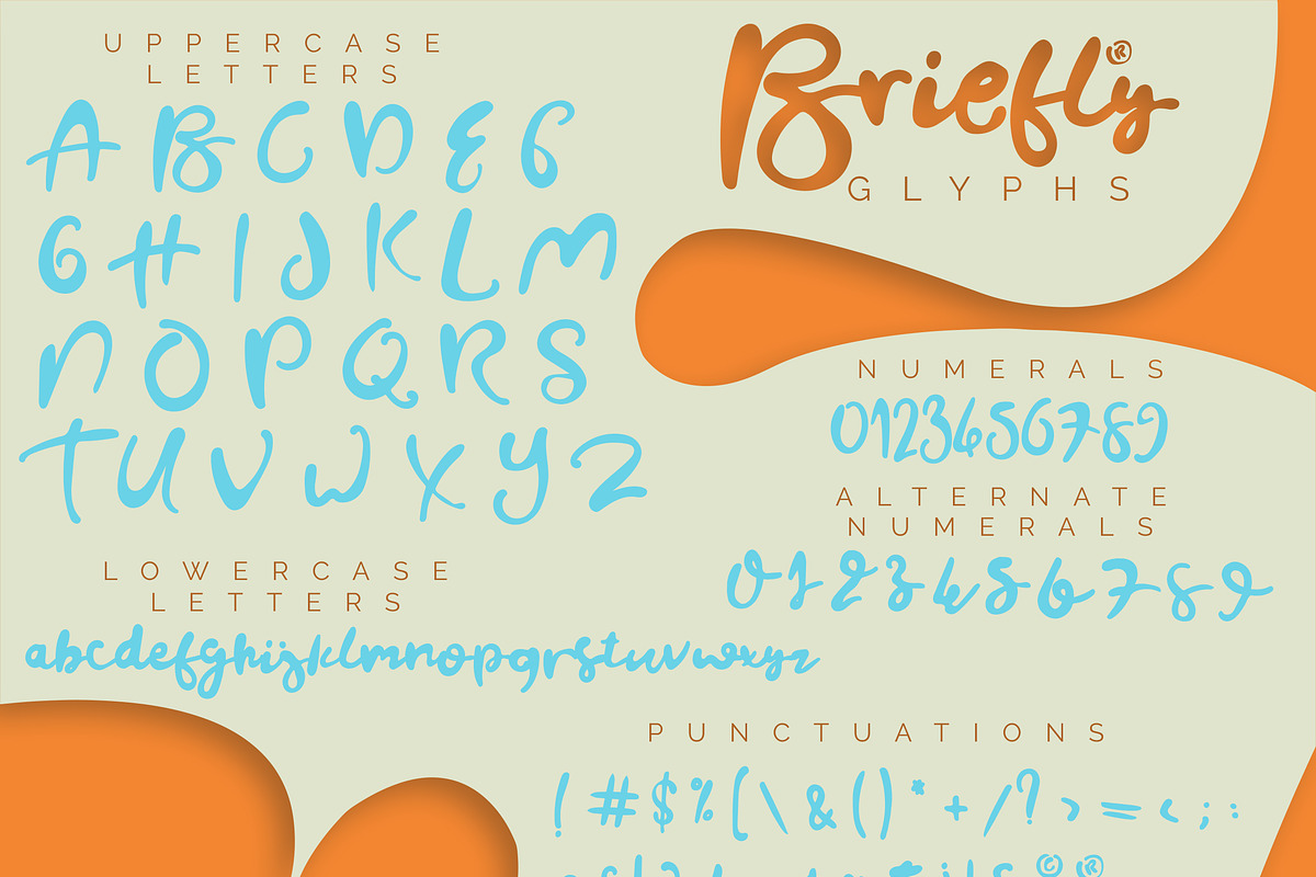 Briefly Script, a Script Font by Yasir Ekinci (Photo 9 of 9)