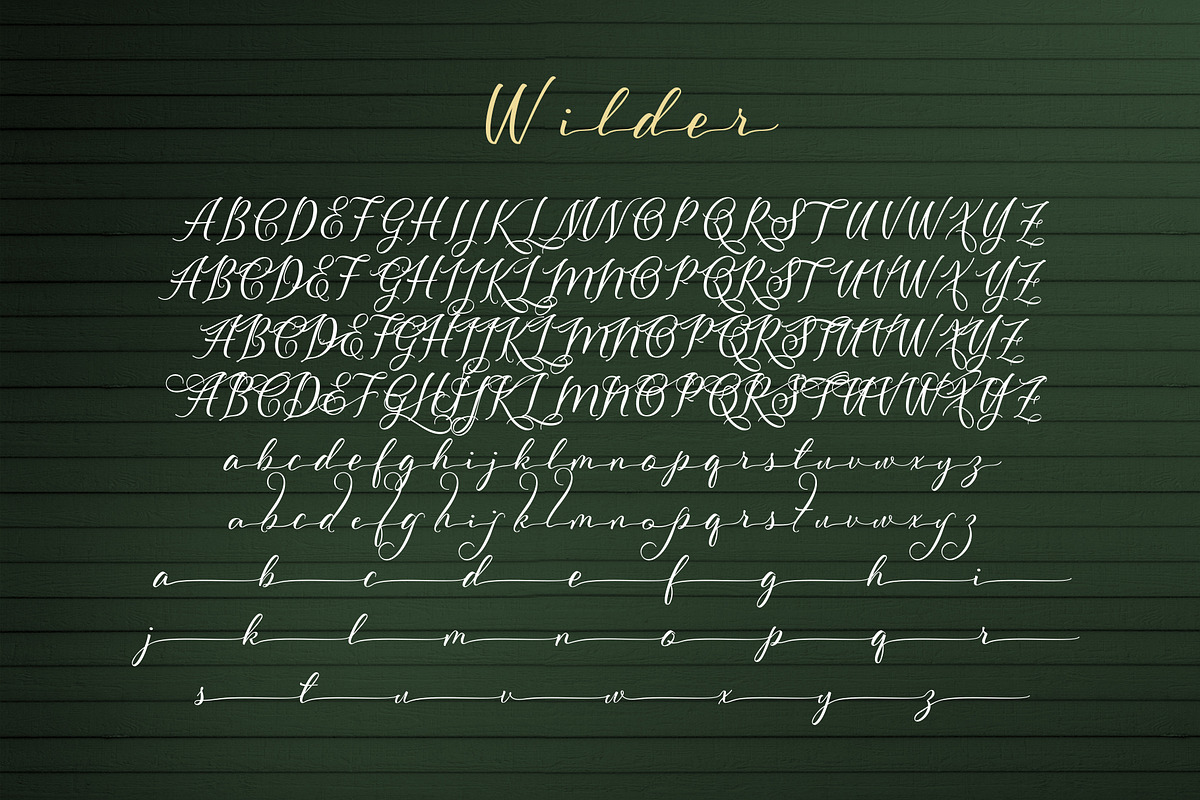 Wilder preview 2