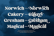 Briston Serif, a Serif Font by Fenotype (Thumbnail 8 of 14)