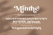Minthe Elegant Serif Font, a Serif Font by Graphicxell (Thumbnail 8 of 10)
