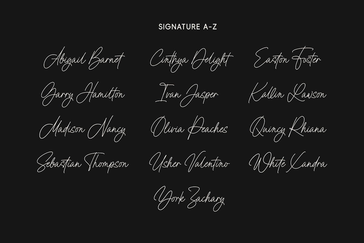 Lillian Smith | Signature Font, a Script Font by Lemonthe (Photo 4 of 7)