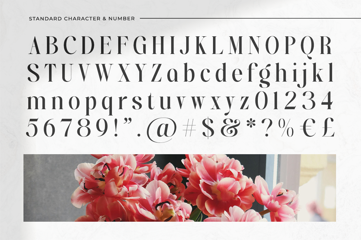 Bridens - Modern Serif Display, a Serif Font by Qweera Studio (Photo 8 of 10)