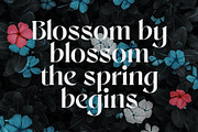 Sangu, a Serif Font by nurrontype (Thumbnail 6 of 12)