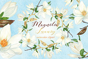 Magnolia white luxury illustrations, an Illustration by LABFcreations (Thumbnail 1 of 5)