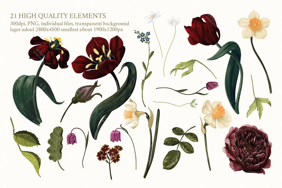 Dark Botanical Flowers pattern&motif, a Decorative Illustration by PenguinArtStudio (Photo 4 of 6)