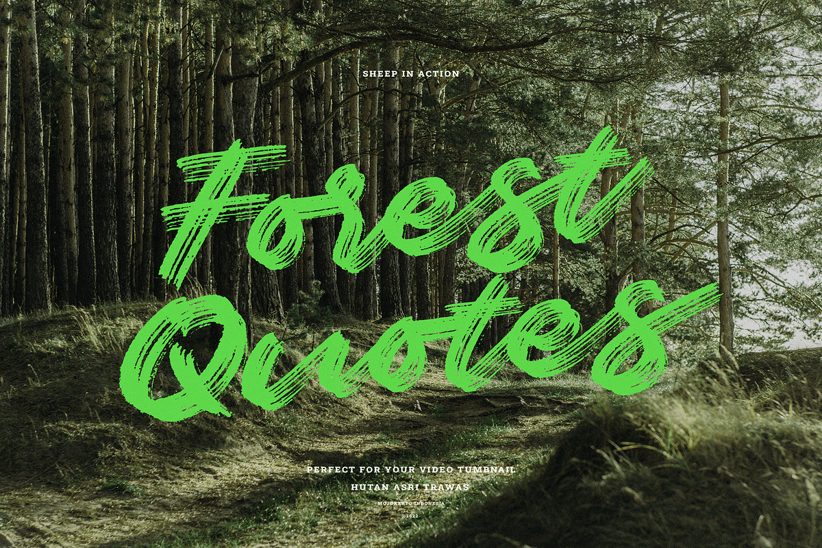Sheep | Dry Brush Script Font, a Script Font by Ardana Creative (Photo 4 of 6)