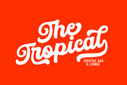 Mistery - Rounded Script Font, a Script Font by HRDR (Thumbnail 5 of 11)