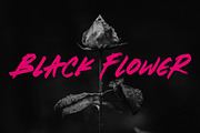 Brotherhood - Brush Script Font, a Handwritten Font by Rometheme Std (Thumbnail 7 of 12)