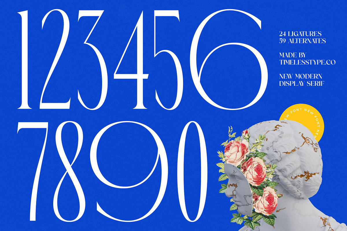 Emblora Modern Display Serif, a Script Font by timelesstype.co (Photo 7 of 20)