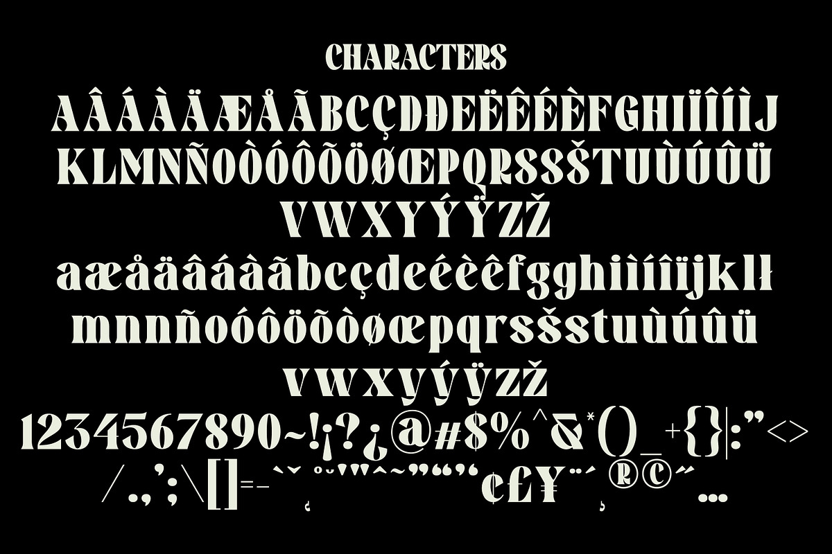 Pronema - Modern Serif, a Serif Font by tebaltipislab (Photo 3 of 13)