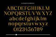 Monlight, a Serif Font by Gatype (Thumbnail 5 of 10)