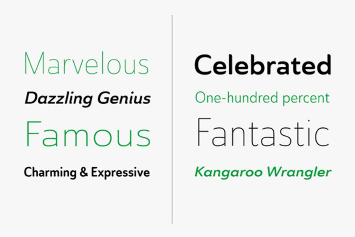 Ainslie Sans preview 4