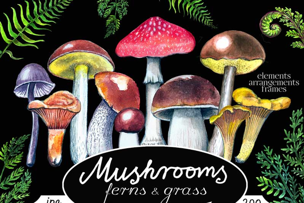 Mushrooms, an Illustration by zurzur (Photo 1 of 4)