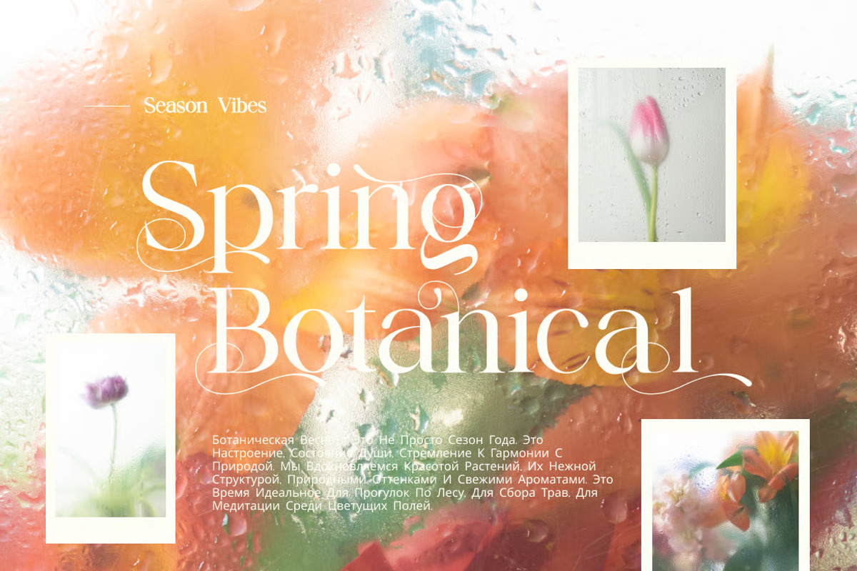 Nokua – Modern Elegant Serif, a Serif Font by Brand Earth (Photo 4 of 7)