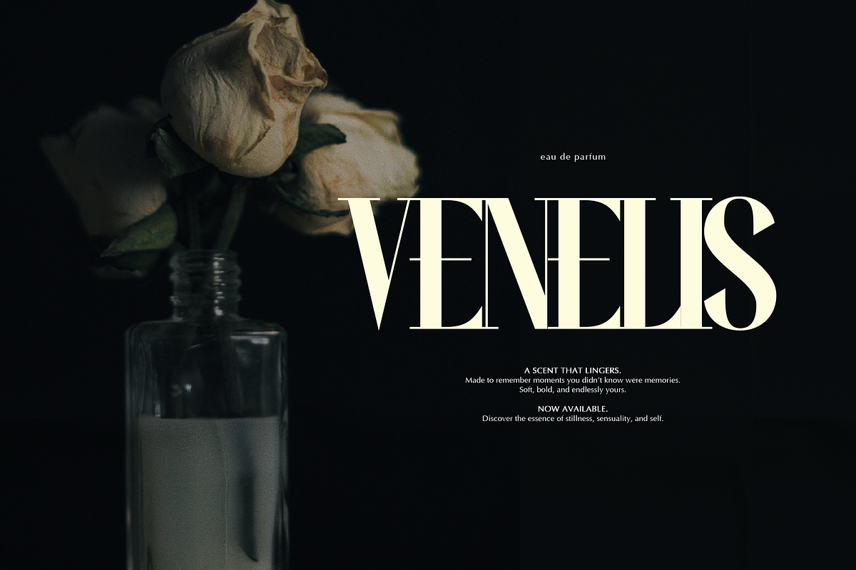Wonder Astrella Modern Display Serif, a Serif Font by gracetype_studio (Photo 6 of 12)