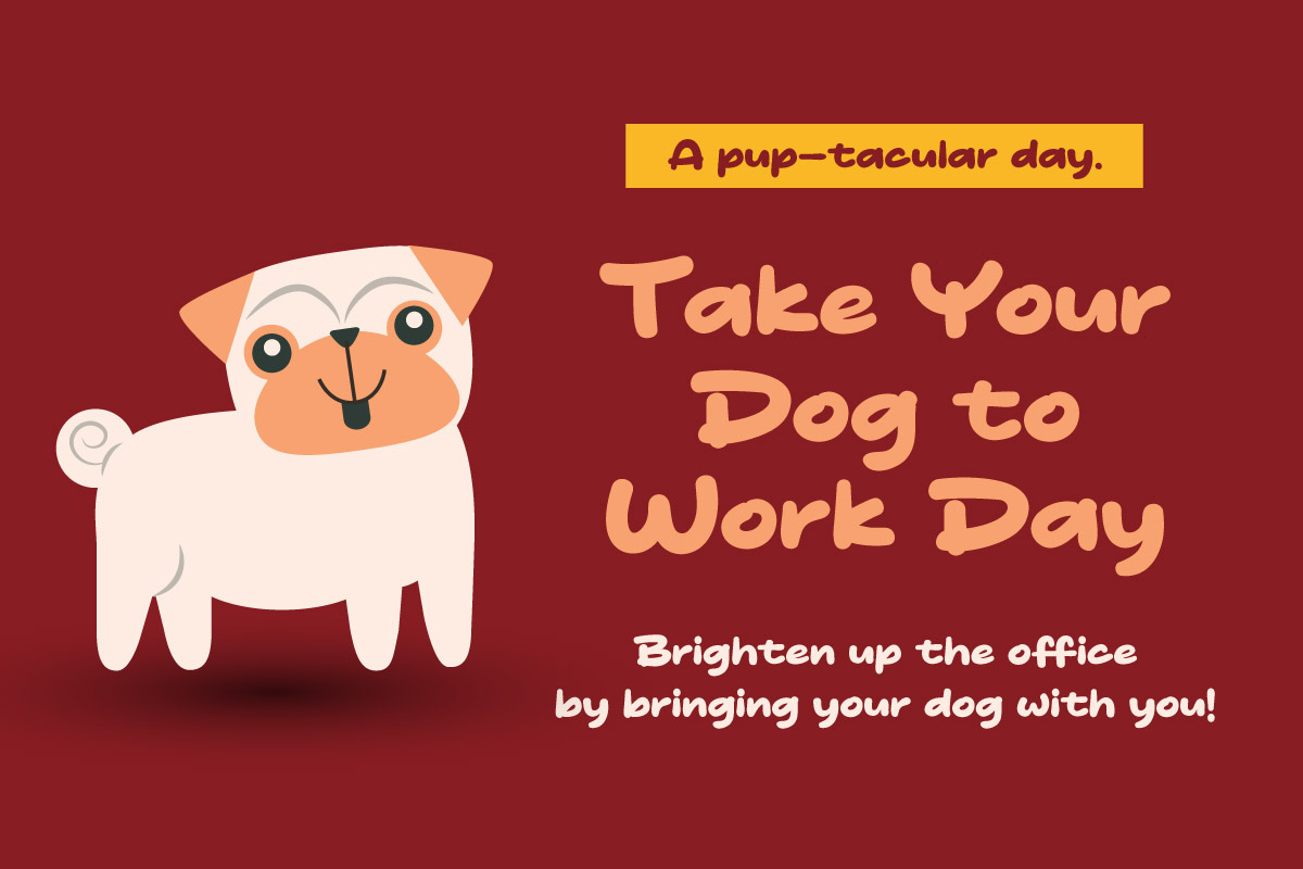 Doge Toon - Display Cartoon Font, a Handwritten Font by productype1 (Photo 4 of 10)