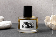 Royals Mugtile Modern Serif, a Serif Font by timelesstype.co (Thumbnail 17 of 20)