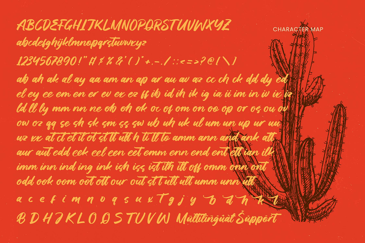 Saddle Nomad Bold Brush, a Script Font by Letterena Studios Script (Photo 23 of 25)
