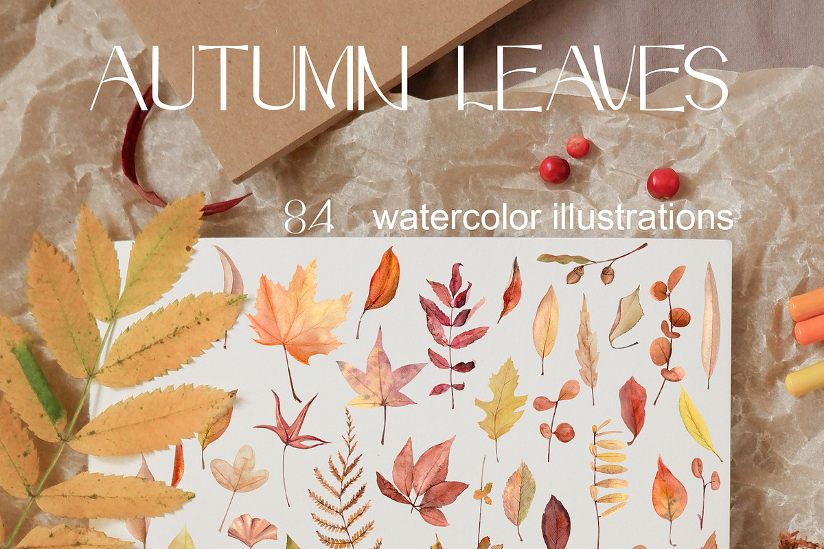 Autumn Leaves Set Illustrations, a Seasonal Illustration by NataliArkushArt (Photo 2 of 12)