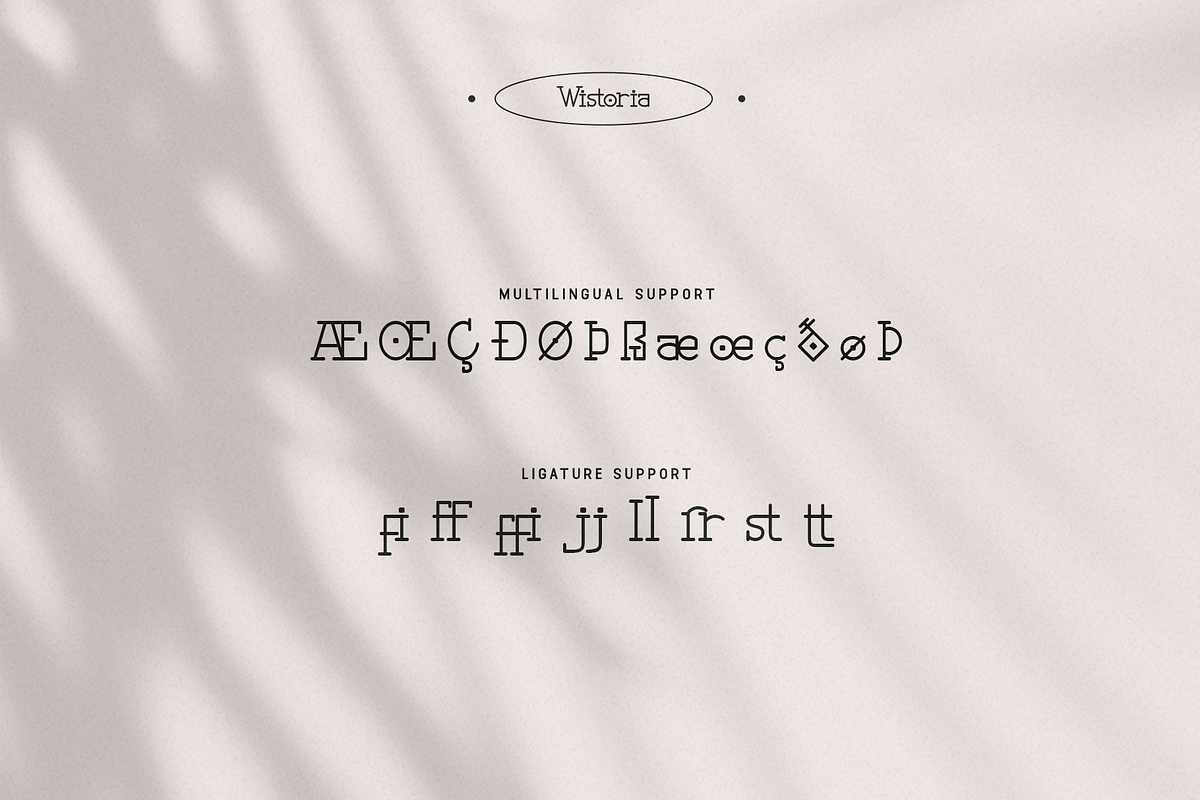 Wistoria - A Elegant Serif Typeface, a Serif Font by overlaytemplates (Photo 5 of 5)