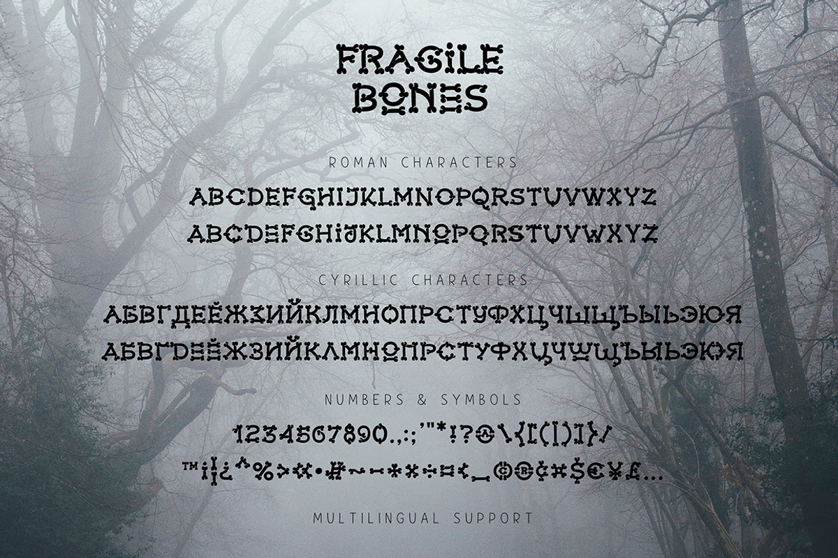 Fragile Bones, a Font by chekart (Photo 9 of 9)