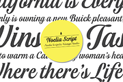 Noelia Script Pro, a Script Font by Vastago Studio (Thumbnail 5 of 12)