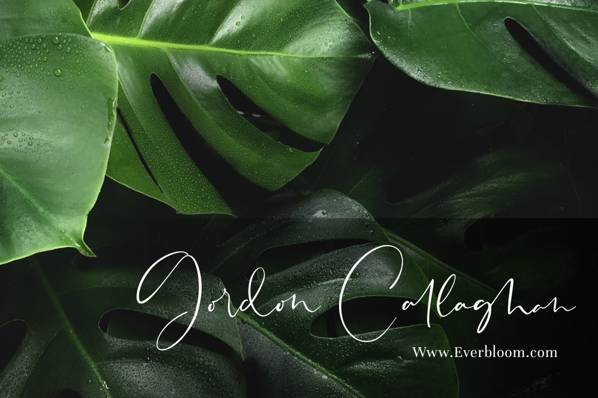 Sheridan - Signature Font preview 7