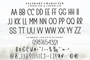 Create Memories, a Serif Font by InermediaSTUDIO (Thumbnail 3 of 8)