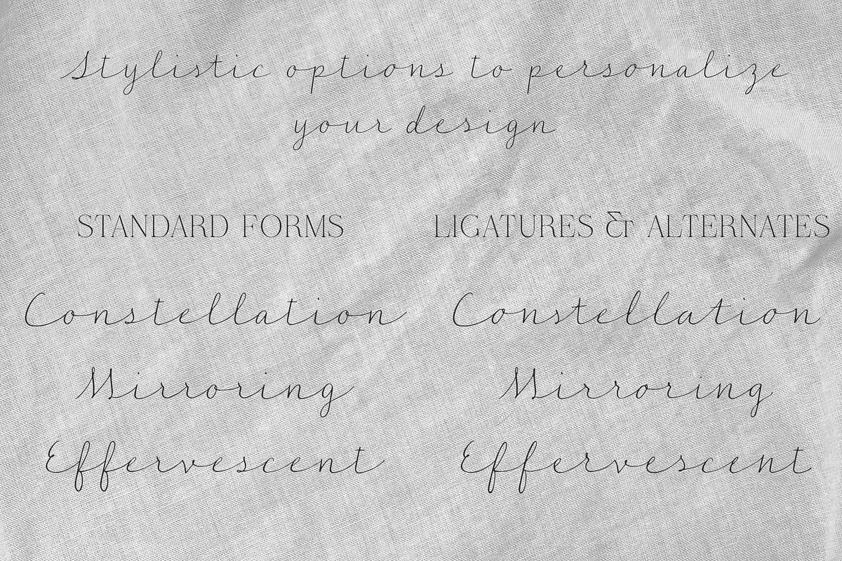 Autumn June Handwritten Script Font, a Font by Evoke Type Studio (Photo 7 of 12)