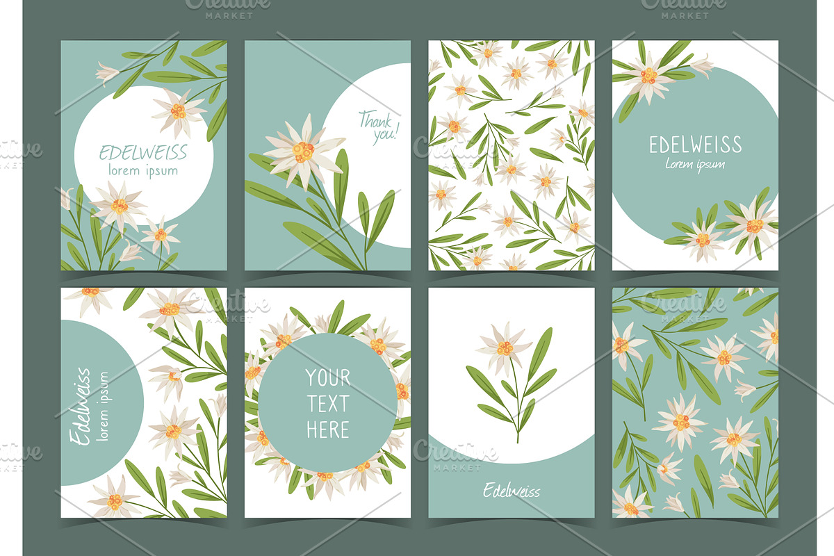 Edelweiss cards. Beautiful gentle, an Object Illustration by YummyBuum