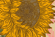 Sunflowers Cranberries and Hen, a Pattern Graphic by NayaChu (Thumbnail 6 of 9)