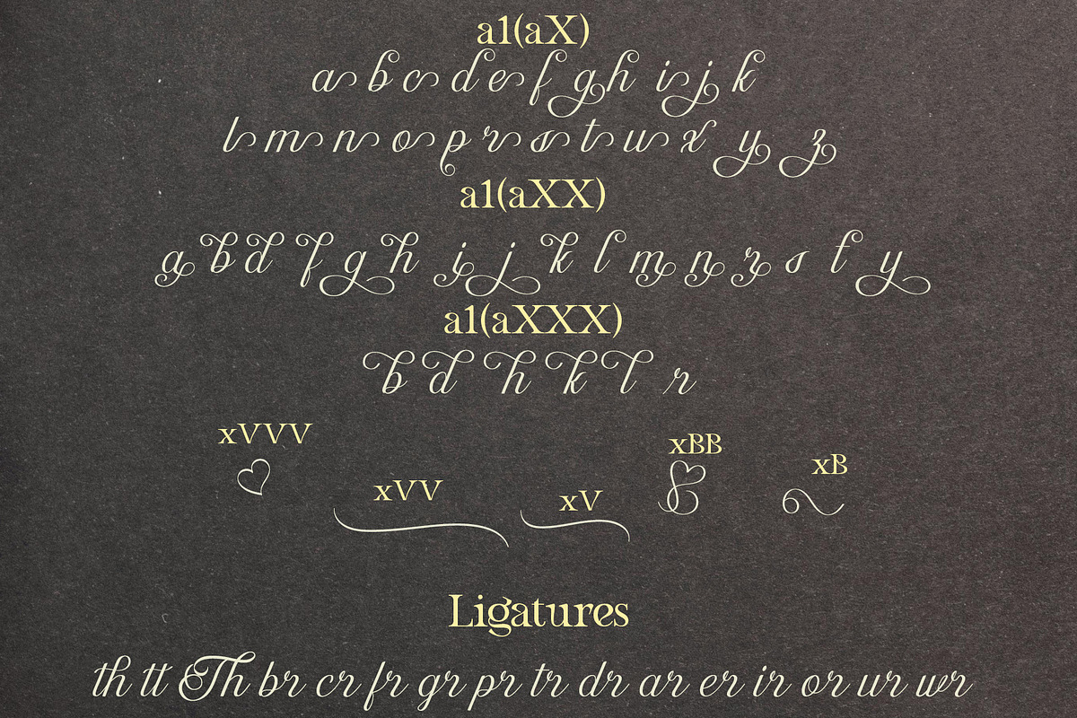 Dalvic – Calligraphy Font, a Script Font by NDNL Studio (Photo 11 of 11)