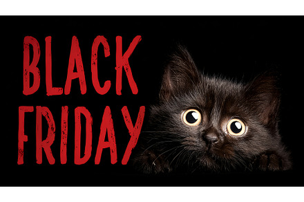 An adorable and surprised Black Cat, an Object Illustration by Lukas Jonaitis SHOP