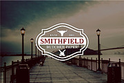 10 Vintage Badges and Logos Vol5, a Branding & Logo Template by shazi (Thumbnail 9 of 11)