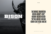 Shone, a Slab Serif Font by Linecreative (Thumbnail 8 of 10)