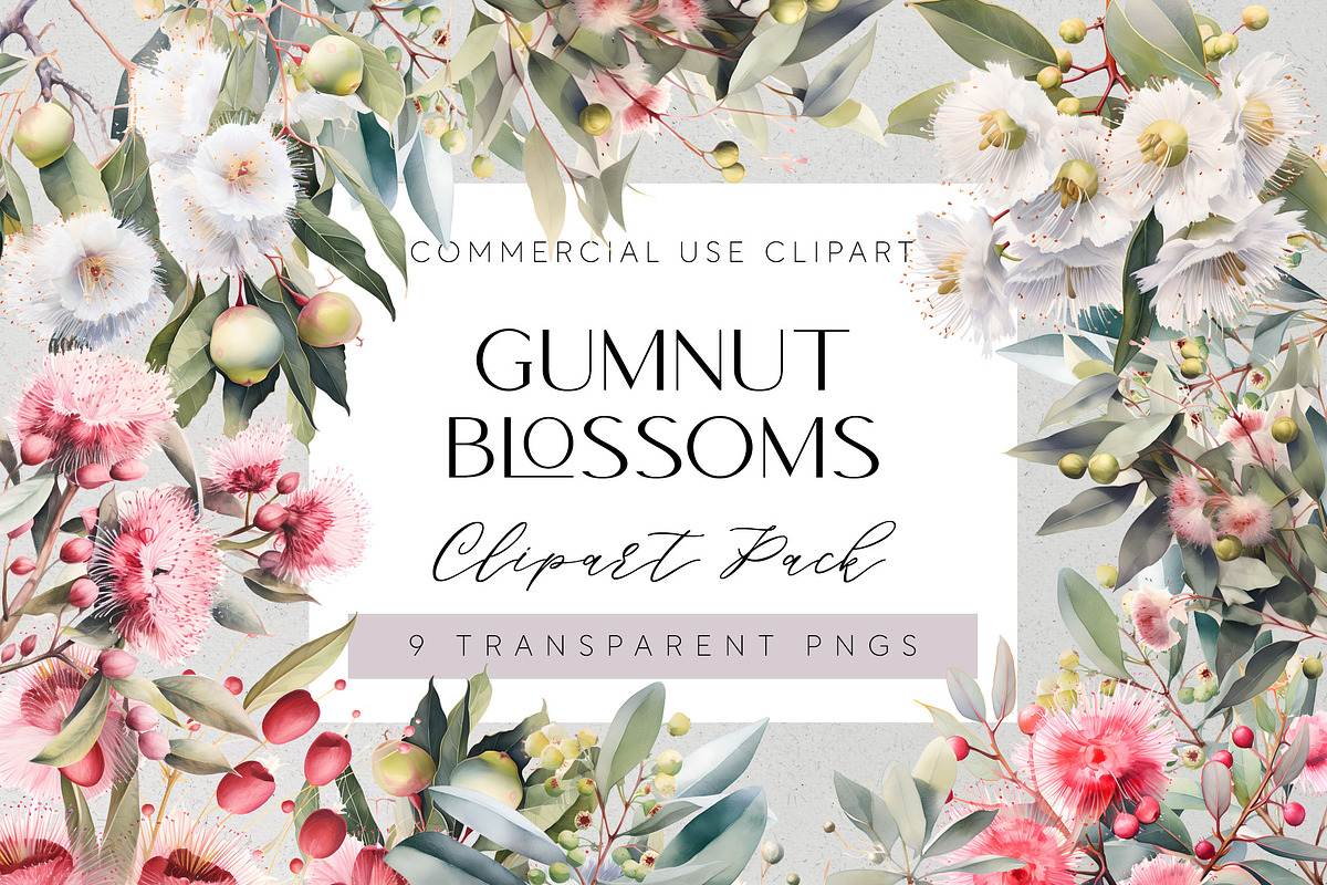 Gumnut Blossom Clipart Transparent, a Decorative Illustration by Pawcasso's Portraits (Photo 1 of 6)