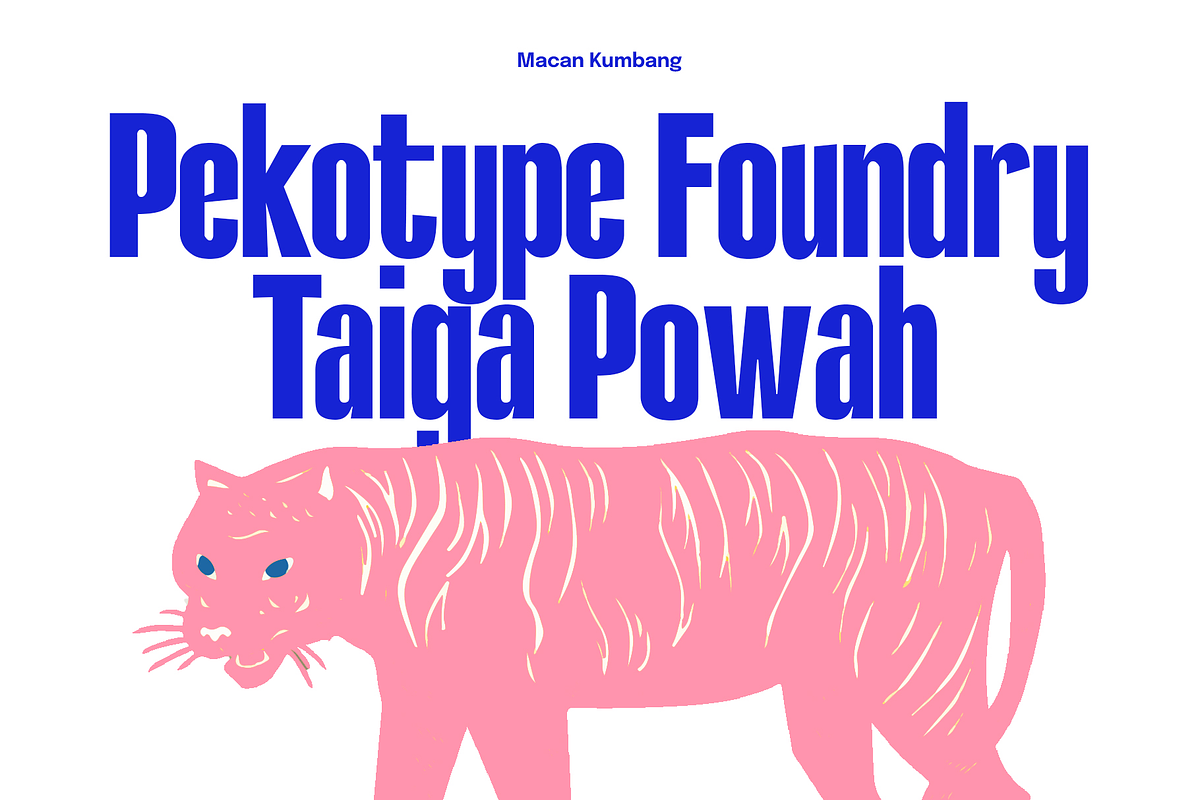 Hakobi - Condensed Sans, a Sans Serif Font by Pekotype (Photo 5 of 9)