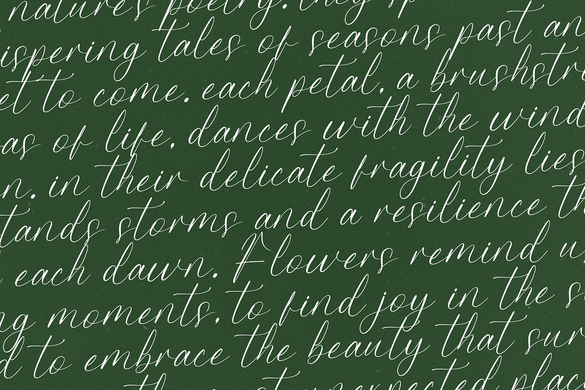 Petalip Orchid Modern Freestyle, a Script Font by Letterena Studios Script (Photo 8 of 15)