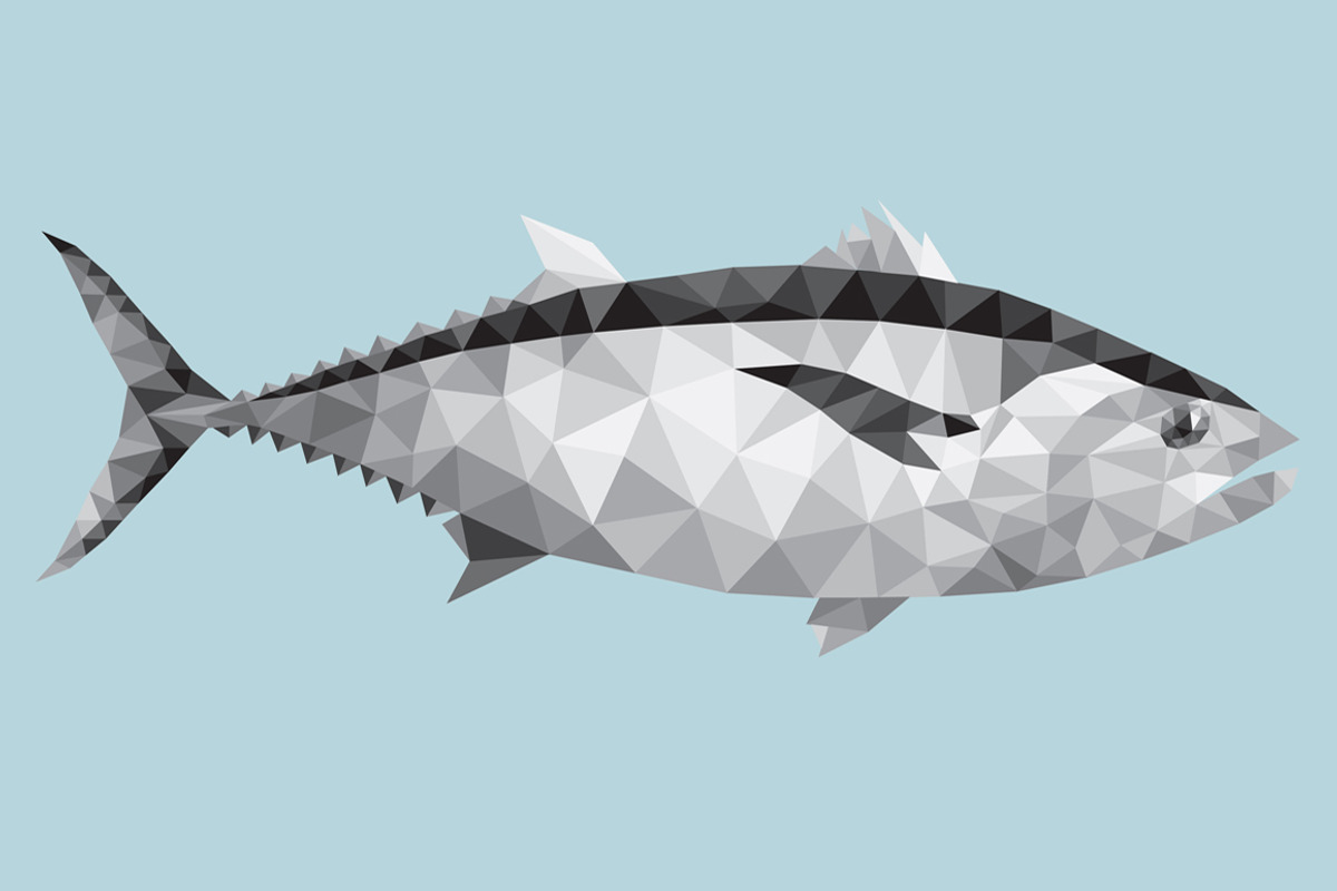 Fish - marine animals preview 3