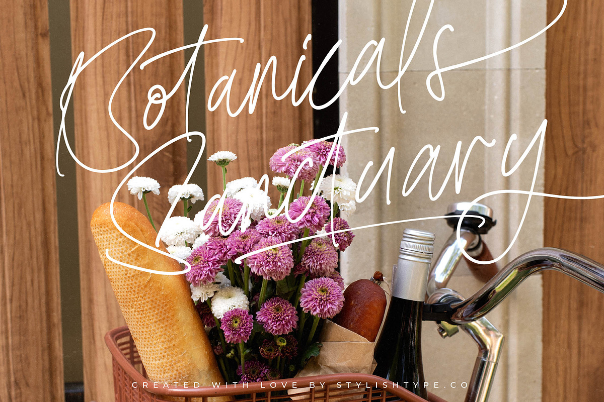 Bestnight Tropicals Ballpoint Script, a Script Font by stylishtype.co (Photo 16 of 20)