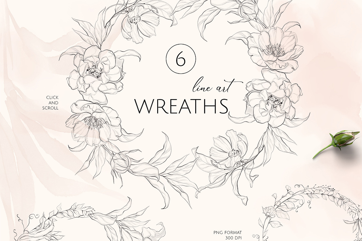 FINE GARDEN line art floral set, a Decorative Illustration by Yuliia Lashevska (Photo 10 of 12)
