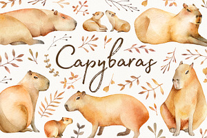 Capybaras Watercolor set