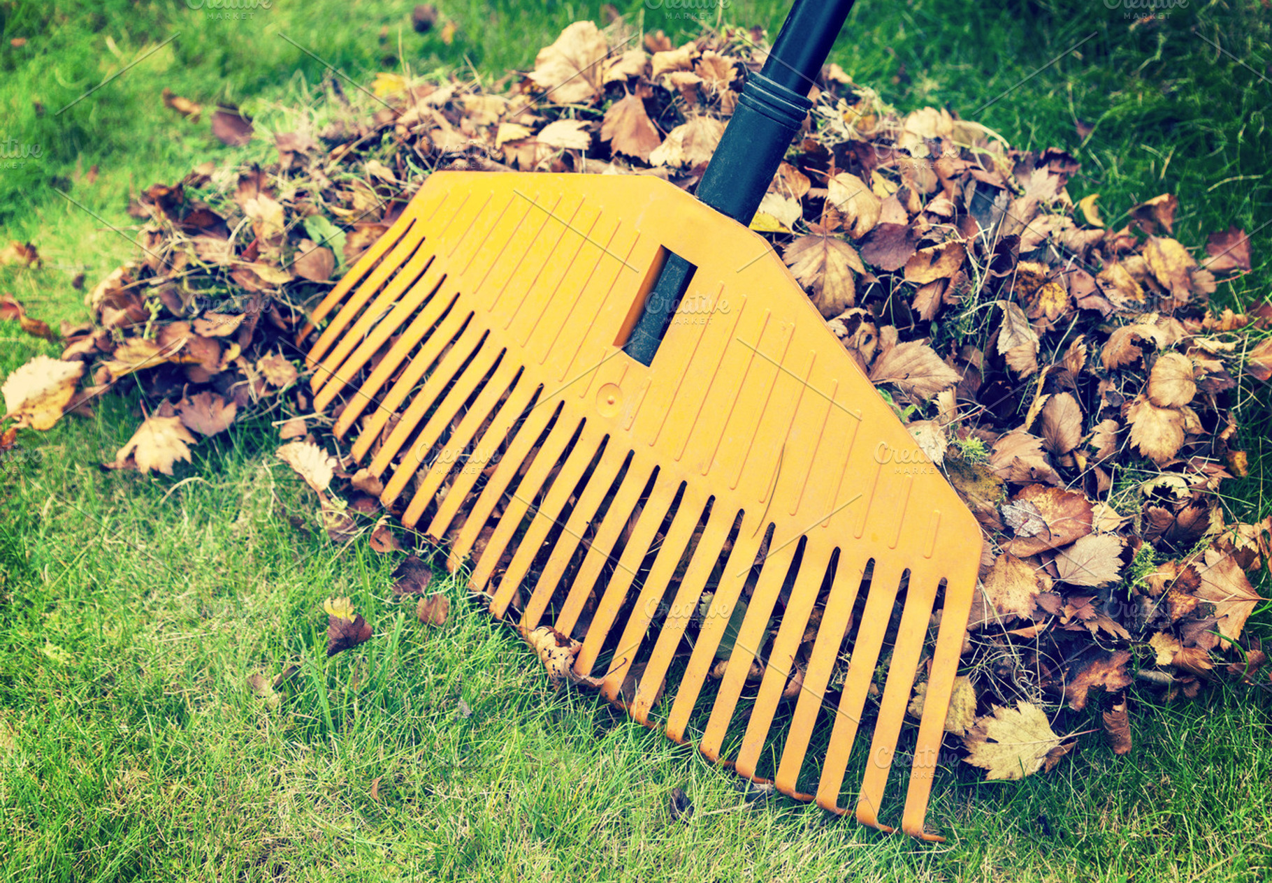 Autumn leaves with rake, a Nature Photo by BOOCYS