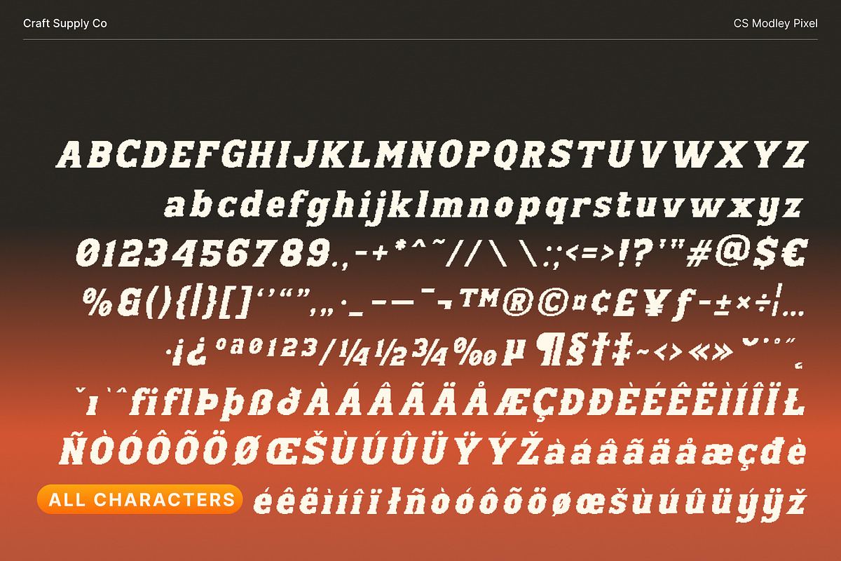 CS Modley Pixel, a Slab Serif Font by Craft Supply Co. (Photo 8 of 8)