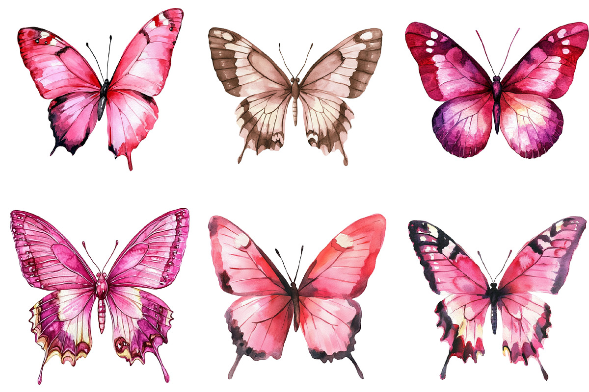 Pink Watercolor Butterflies Clipart, an Illustration by SinaCreation (Photo 5 of 5)