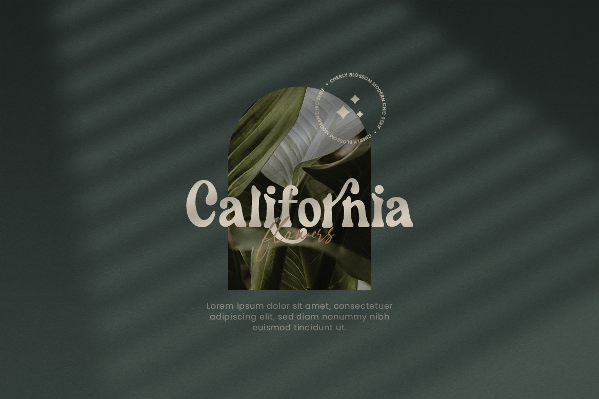 Cherly Blossom Modern Chic Serif, a Serif Font by Creatype Studio (Photo 2 of 9)