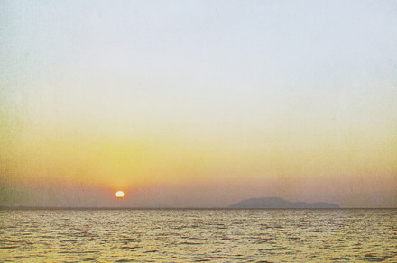 Coconut Palm Tree And Sunrise preview 6
