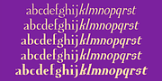 Euroika, a Serif Font by Ingrimayne Type (Thumbnail 2 of 10)