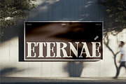 Laderhaus - Display Font, a Serif Font by Studio Moara (Thumbnail 11 of 11)